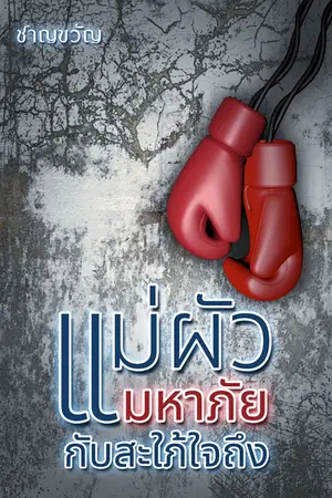 ปกนิยาย