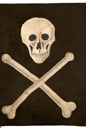 ปกนิยาย เกิดใหม่กับอัจฉริยะ (แฟนฟิก วันพีช)