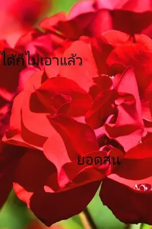 ปกนิยาย