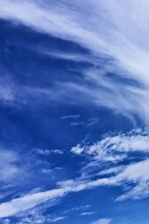 ปกนิยาย นิยายแห่งสังขาร