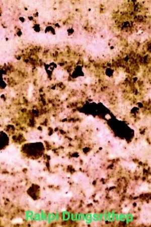 ปกนิยาย นิยายแห่งเวทนา