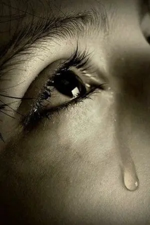 ปกนิยาย คนของนาย