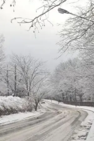 ปกนิยาย นิทานรักในวันวาน