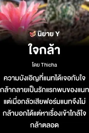 ปกนิยาย