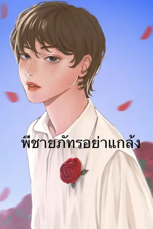 ปกนิยาย