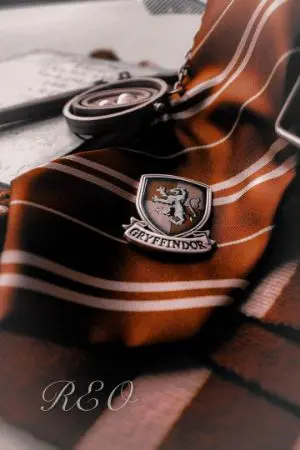 ปกนิยาย Harry potter | I am a witch OC