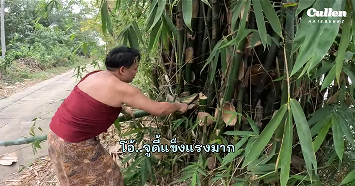 จูดี้พาเราเข้าป่าไปเผาข้าวหลามครับ! 