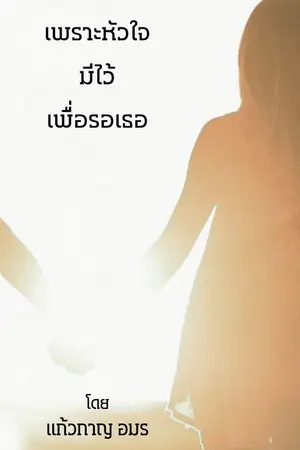 ปกนิยาย