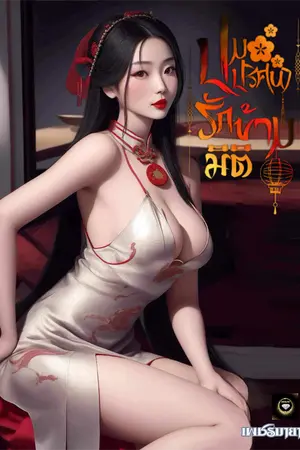 ปกนิยาย ปมปริศนา รักข้ามมิติ