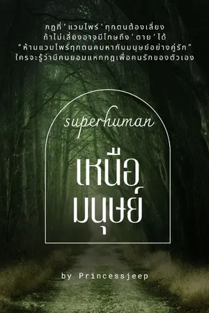 ปกนิยาย