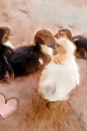 ปกนิยาย สัตว์หน้าคน ใครก็เป็นได้