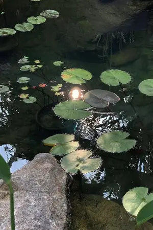 ปกนิยาย เธอเปิดใช้งานระบบบุญคุณโดยไม่ได้ตั้งใจ