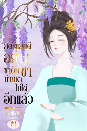 ปกนิยาย สตรีแสนดีอย่างข้า ชาตินี้ท่านหาไม่ได้อีกแล้ว