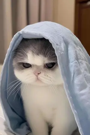 ปกนิยาย ลุ้นนักรักนอกจอ