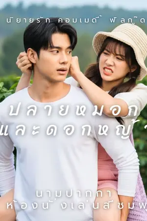 ปกนิยาย ปลายหมอกและดอกหญ้า