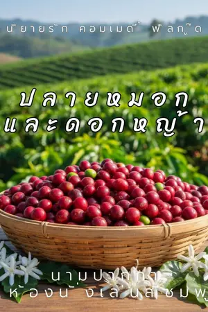 ปกนิยาย ปลายหมอกและดอกหญ้า