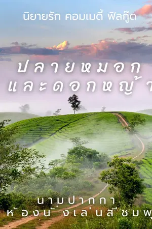 ปกนิยาย ปลายหมอกและดอกหญ้า
