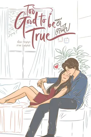 ปกนิยาย Too Good to Be True ดีเกินไป
