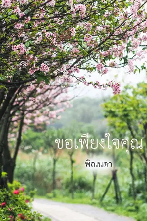 ปกนิยาย ขอเพียงใจคุณ