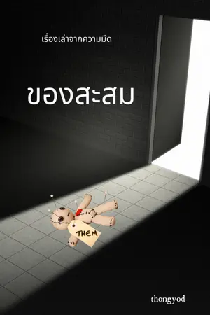 ปกนิยาย เรื่องเล่าจากความมืด : ของสะสม