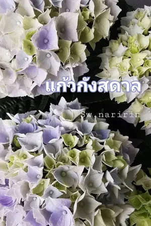 ปกนิยาย แก้วกังสดาล (อ่านฟรีจนจบ)