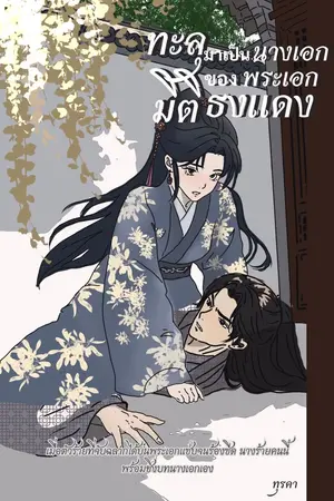 ปกนิยาย ทะลุมิติมาเป็นนางเอกของพระเอกธงแดง