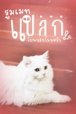 ปกนิยาย รูมเมทผม...แปลกไปหน่อยไหมครับ?