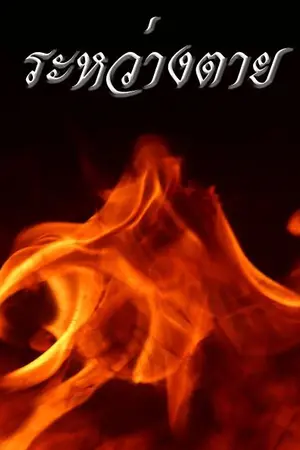 ปกนิยาย ระหว่างตาย