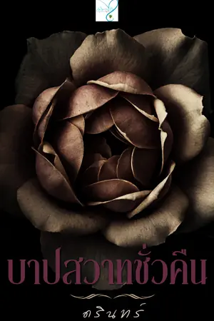 ปกนิยาย บาปสวาทชั่วคืน