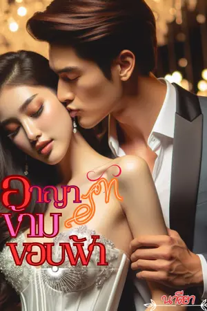 ปกนิยาย