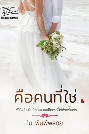 ปกนิยาย คือคนที่ใช่ (ฟรี)