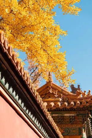 ปกนิยาย (ปิดเรื่อง) เกิดใหม่เป็นอสรพิษสกุลหลี่ 「入新生我是李家的毒蛇」 #ผีแปะก๊วย