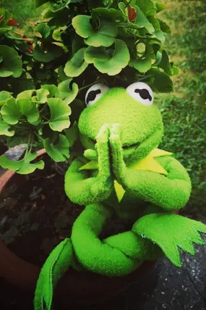 ปกนิยาย ` Decadence Avenue .