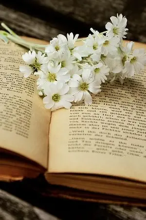 ปกนิยาย Bits & Pieces