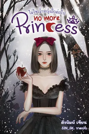 ปกนิยาย No More Princess ไม่ใช่เจ้าหญิงอีกต่อไป