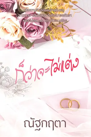 ปกนิยาย ก็ว่าจะไม่แต่ง(แล้วจะได้แต่งกี่โมง)