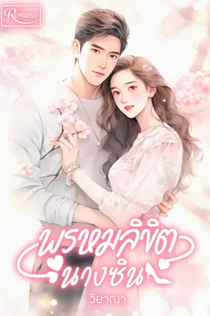 ปกนิยาย พรหมลิขิตนางซิน (จบ)