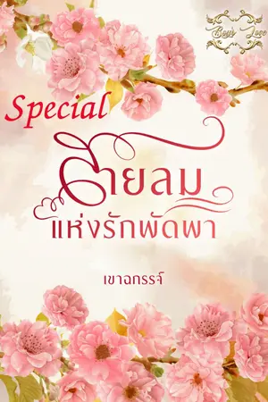 ปกนิยาย เล่มพิเศษ..สายลมแห่งรักพัดพา