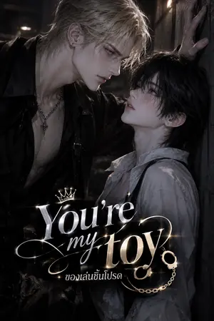 ปกนิยาย You're My Toy ของเล่นชิ้นโปรด (Rewrite 2026)