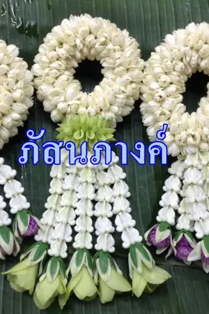 ปกนิยาย