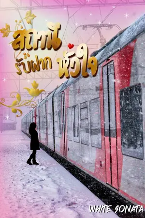 ปกนิยาย รวมเรื่องสั้นจิปาถะ #เขียนจดหมายถึงเธอ #สถานีรับฝากหัวใจ #HeartOfFox #พับดาวนับเดือน #เมื่อร่างกายเพรียกหาVitaminSea #ความทรงจำในขวดโหล #ครั้งหนึ่งฝันถึงเธอ