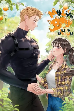 ปกนิยาย