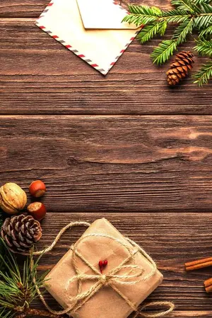 ปกนิยาย ฤทธิ์รักซ่อนแค้น