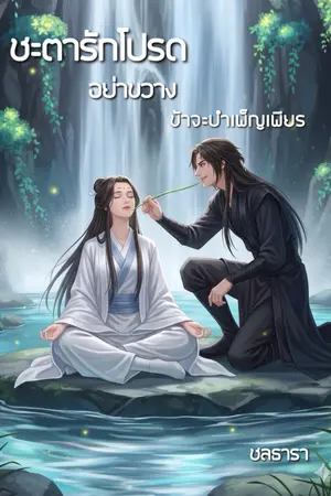 ปกนิยาย ชะตารักโปรดอย่าขวางข้าจะบำเพ็ญเพียร