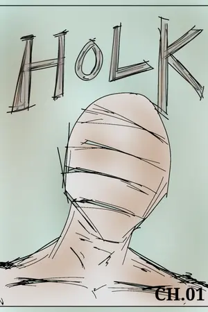 ปกนิยาย HOLK