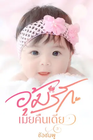 ปกนิยาย อุ้มรักเมียคืนเดียว