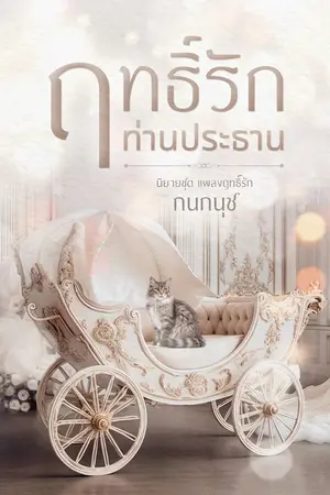 ปกนิยาย ฤทธิ์รักท่านประธาน (ลีวาน-แสนดี) set แผลงฤทธิ์รัก