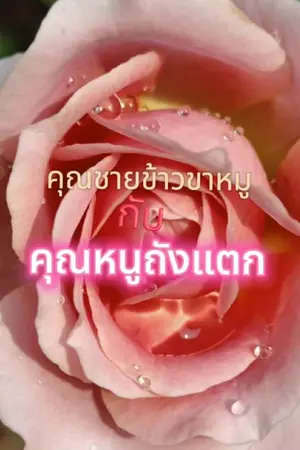 ปกนิยาย คุณชายข้าวขาหมูกับคุณหนูถังแตก