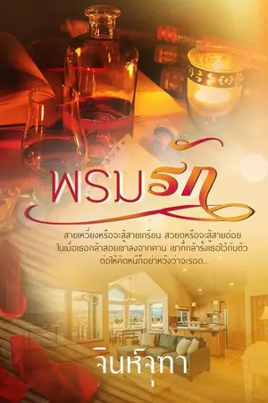 ปกนิยาย