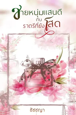 ปกนิยาย ชายหนุ่มแสนดีกับราตรีที่ยังโสด